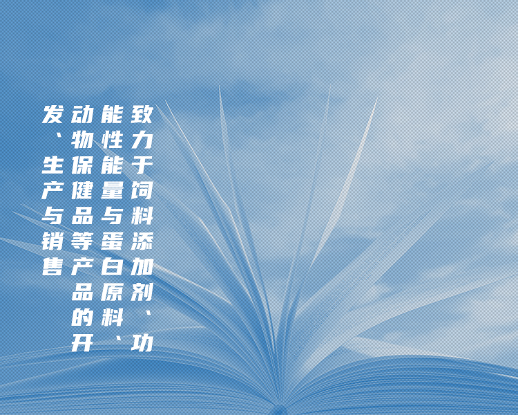 手机banner01